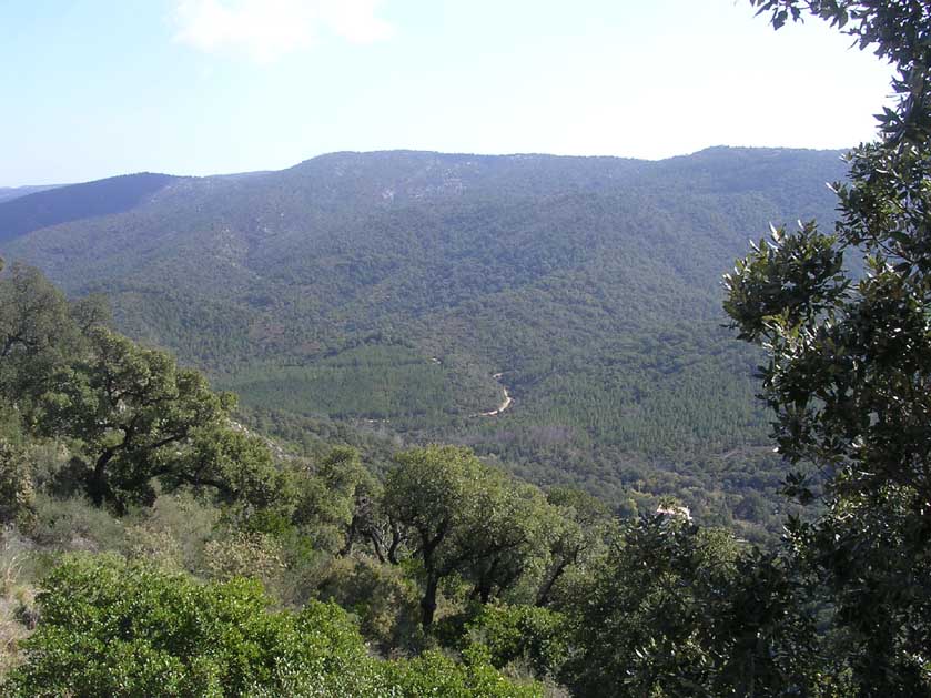 Port Grimaud/05720TheMauresMountains_MassivetMaures_Lemassifdes
