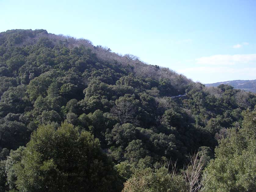 The Maures Mountains