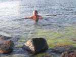 Klicka fr strre bild