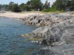 Klicka fr strre bild
