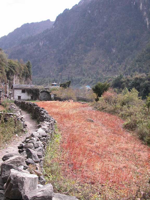 Vi kommer in i en by