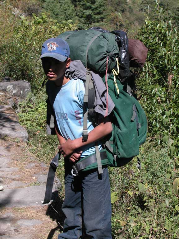 V�r 4de b�rare med Rains ryggs�ck