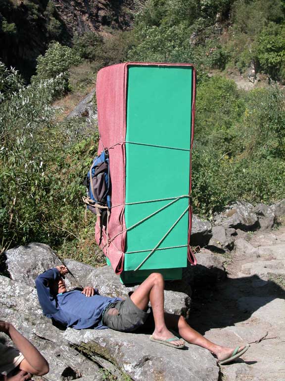 B�rare med ett kylsk�p