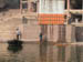 Ghats sedda frn Ganges