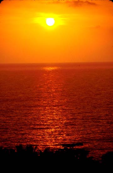 Ashram Sunset