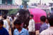 Hampi Elephant at car festival