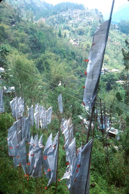Gangtok Prayer flags