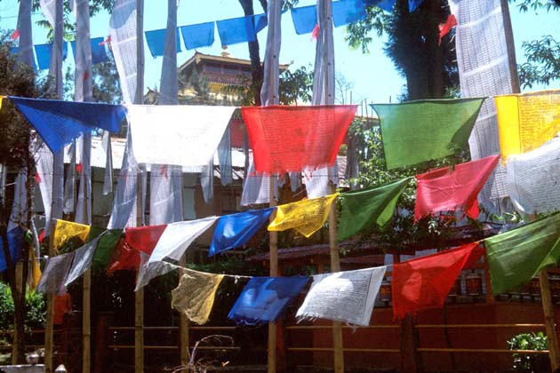 Gangtok Prayer flags