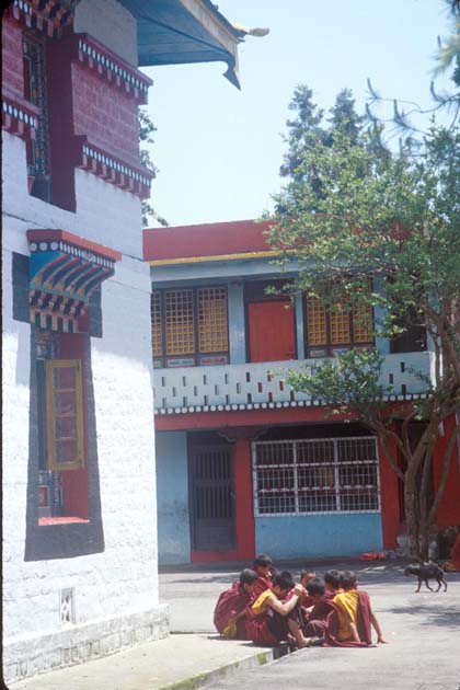 Gangtok Enchey monastery