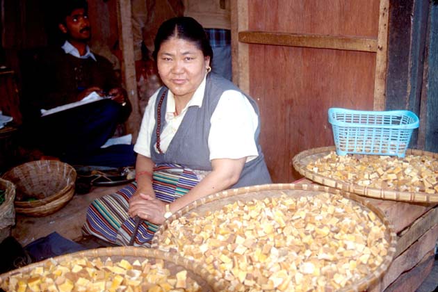 Gangtok Woman selling cheese