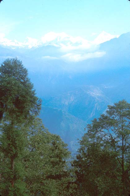 Pelling View of Kanchendzonga