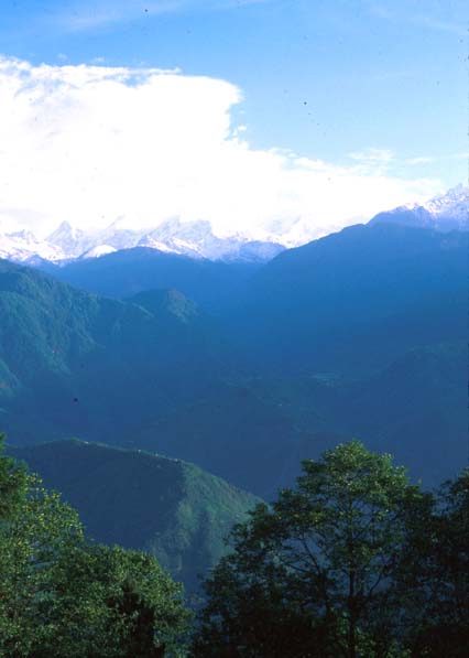Pelling 3 dimensional 2