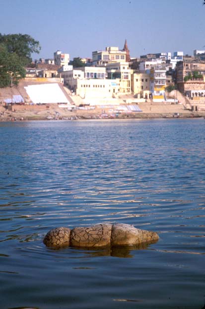 Varanasi Floating body