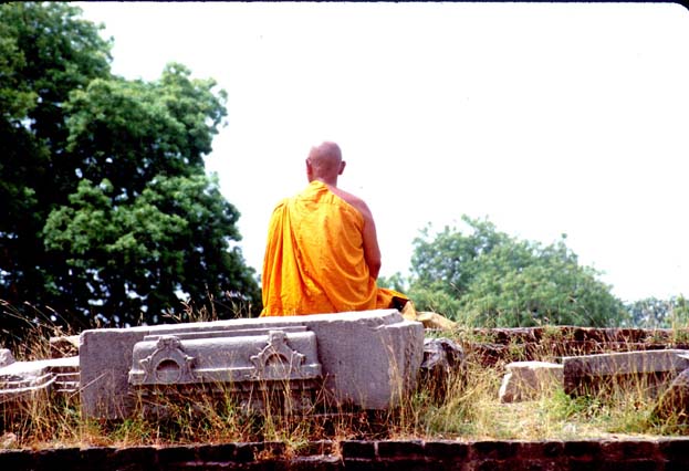 Sarnat Monk meditating