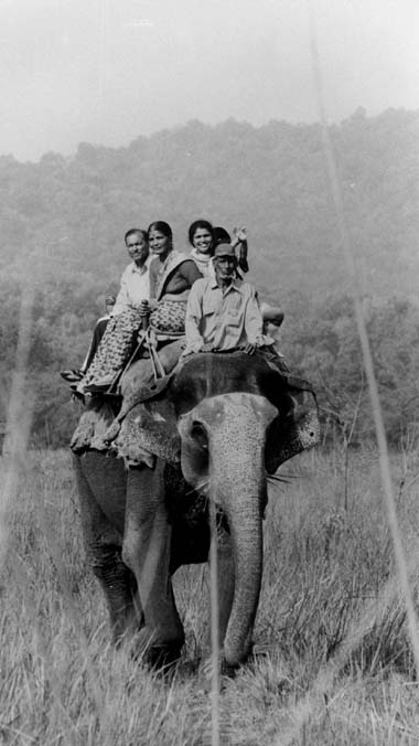 Corbett Elephant ride