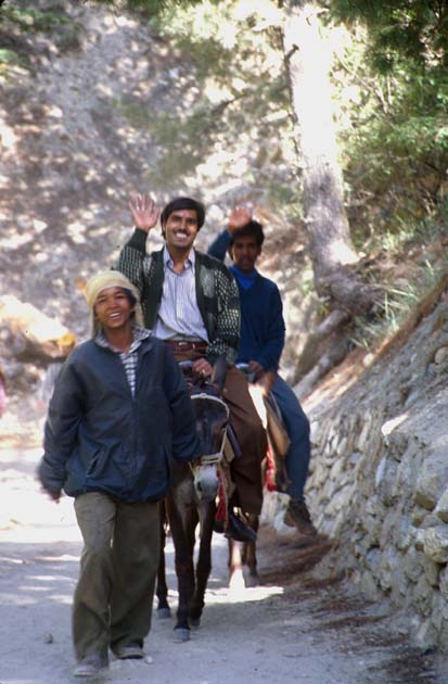 Gangotri trek Pony trekkers