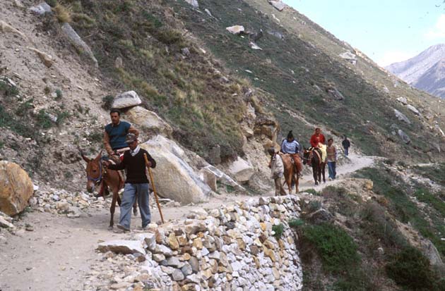 Gangotri trek Trail w people