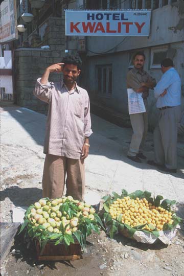 Shimla Fruit vendor.jsp