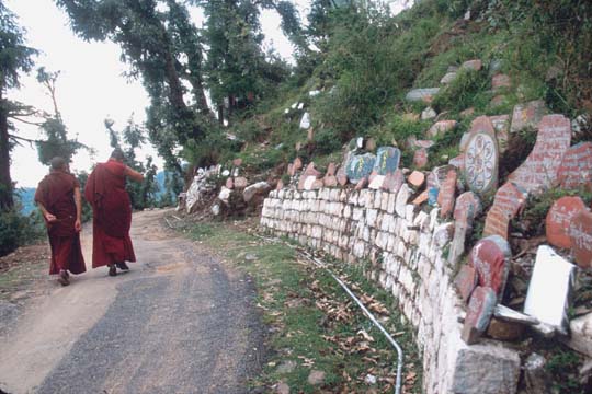Dharamshala Path around residence