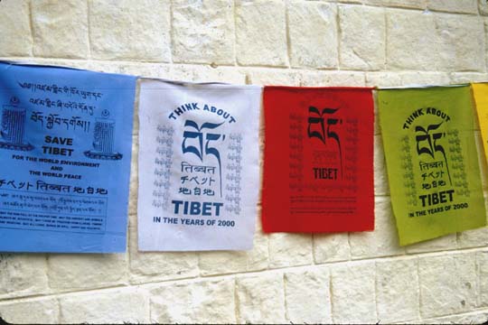 Dharamshala Save Tibet flags