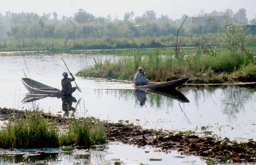 Srinagar Small shikaras