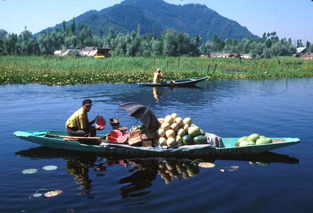Srinagar Fruit vendor in shikara