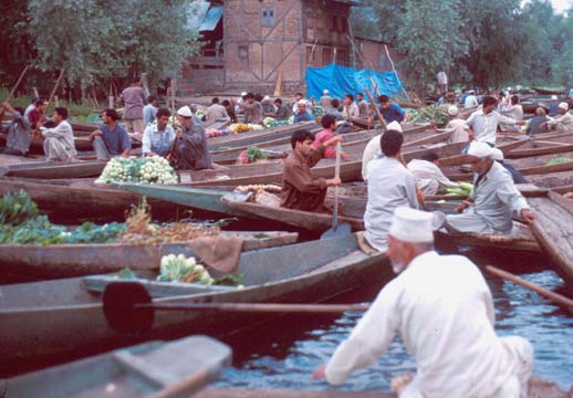 Srinagar Floating veg market