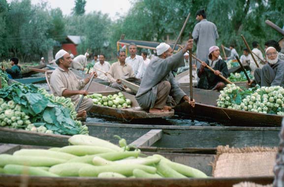 Srinagar Floating veg market