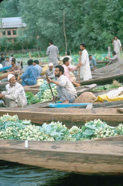 Srinagar Floating veg market