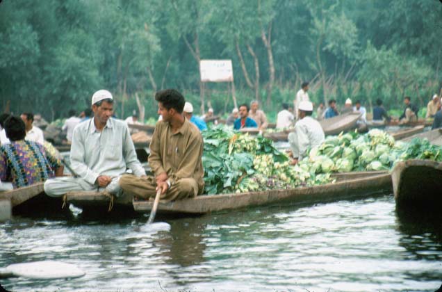 Srinagar Floating veg market