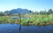 Srinagar Floating vegetable beds
