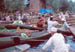Srinagar Floating veg market