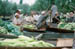 Srinagar Floating veg market
