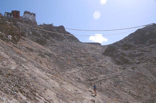Leh Gompa at top