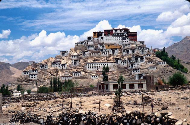 Ladakh Thikse