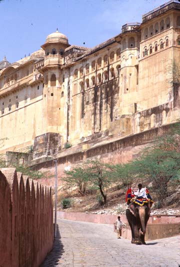 Jaipur Amber fort elephant ride