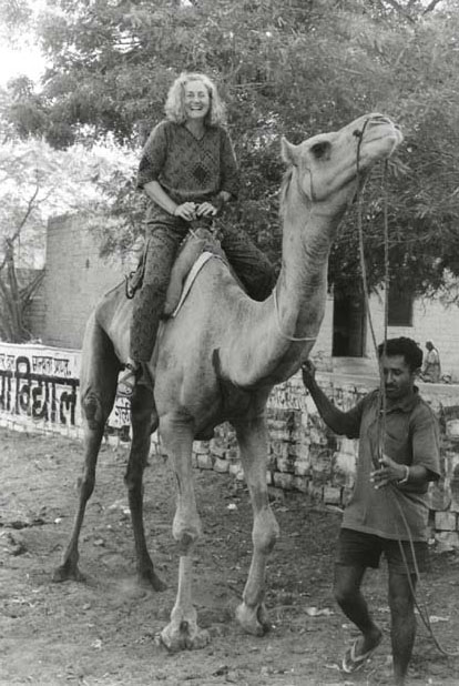 Jodhpur Surain riding camel