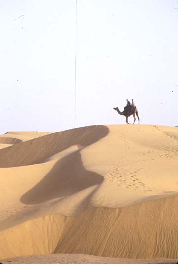 Thar desert Sam sand dunes