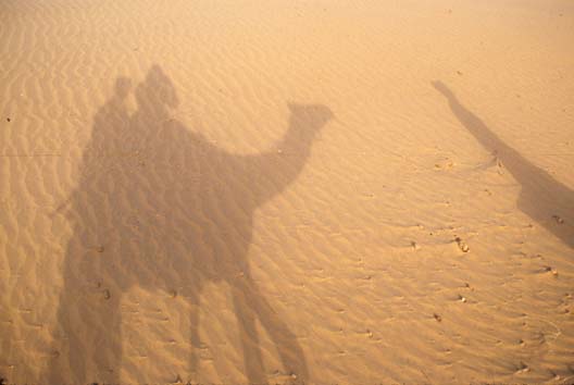 Thar desert Our camel shadow