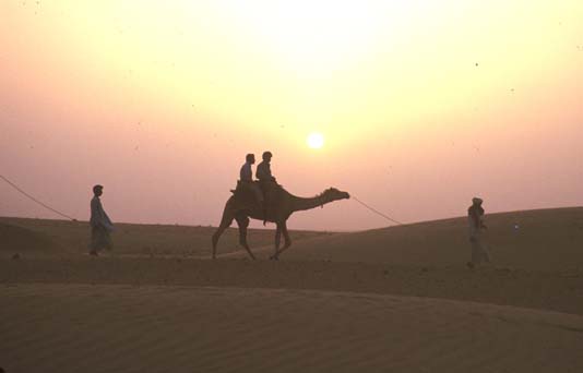 Thar desert Camel ride sunset