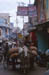 Jaisalmer Ox w cart in narrow lane
