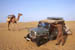 Thar desert Get a camel