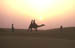 Thar desert Camel ride sunset