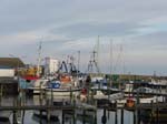 Mn: Hamnen ...