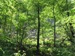 Sdersen: En nationalpark