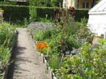 Den gamle by: Trdgrden
