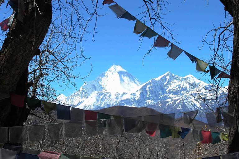 Dhaulagiri 8167 m�h