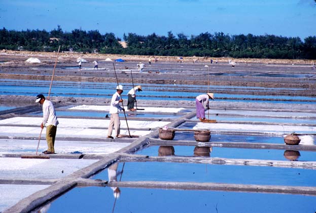 Northbound Salt Beds