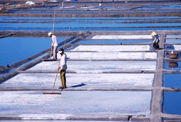 Northbound Salt Beds
