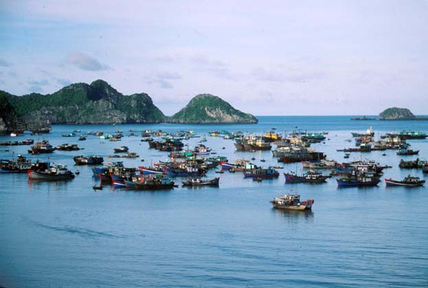 Halong Bay Fishing Boats at Cat Ba